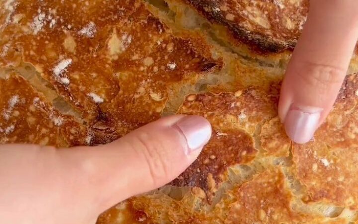 no knead artisan bread