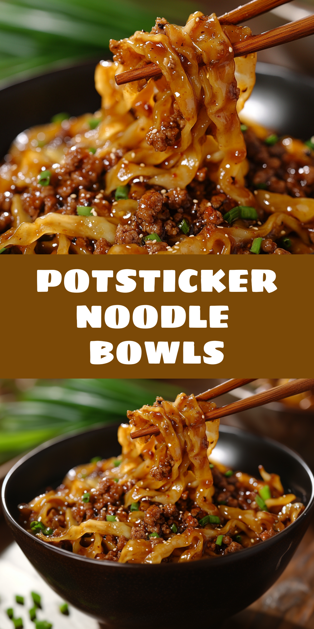 Noodle Bowls Asian
