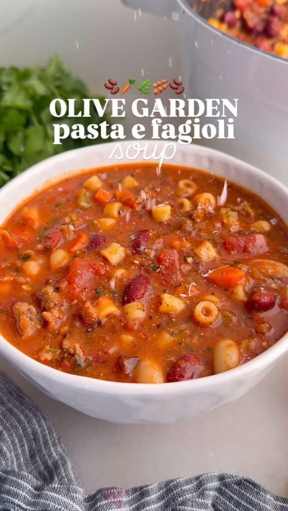 minestrone soup with beef