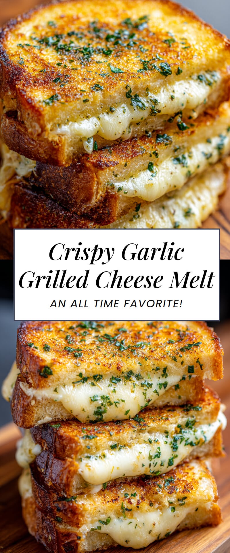 Cheesy Meals