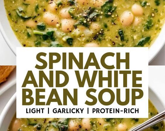 spinach and white bean soup
